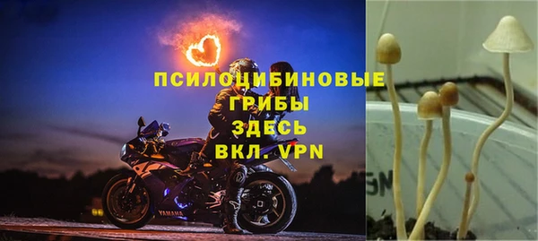 гидропоника Мегион
