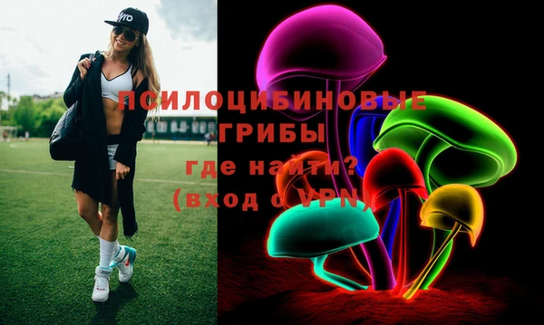 ГАЛЛЮЦИНОГЕННЫЕ ГРИБЫ Медвежьегорск