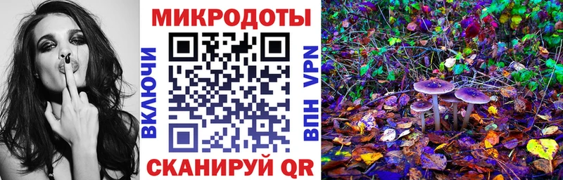 Галлюциногенные грибы Psilocybine cubensis  Купить  Саянск 