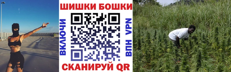Бошки марихуана план  Купить где  Саянск 